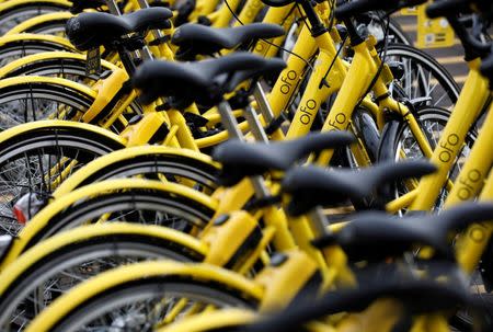 Ofo bike-sharing bicycles are pictured in Singapore August 29, 2017. REUTERS/Edgar Su/Files