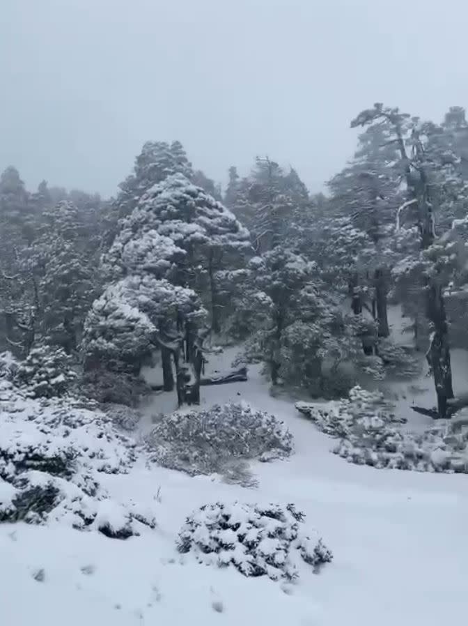 雪山翠池氣溫下探零下8度，積雪逾20公分，山友開心玩雪。（圖／山友提供）