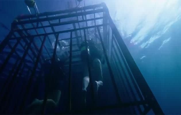 Of course, the cage falls. Source: Dimension Films