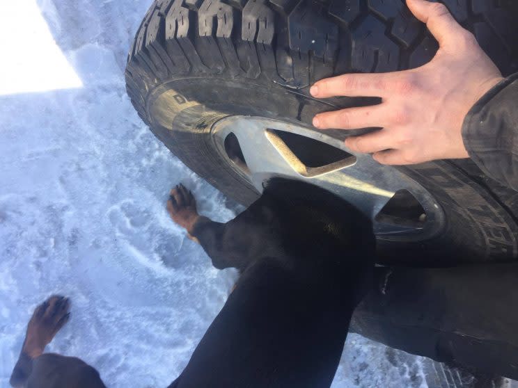 A curious canine found himself in a bit of a jam after getting his head caught in a wheel.