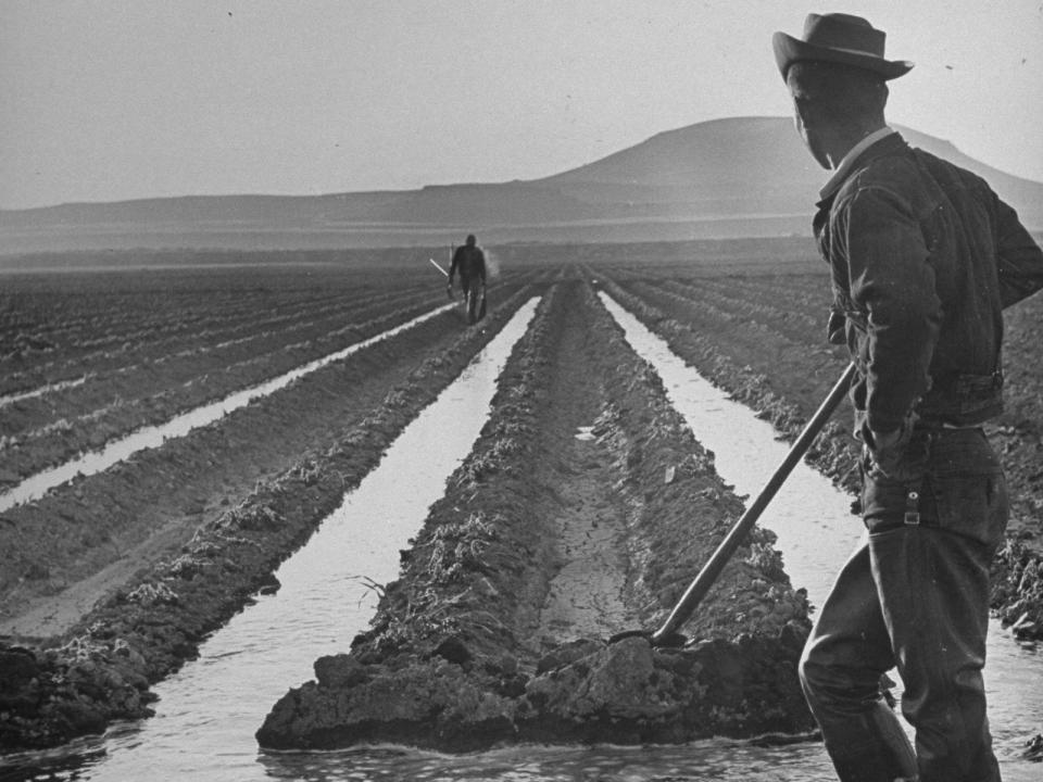 Young homesteaders work on irrigation ditches in 1949.