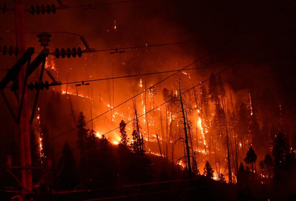 A fire burns the trunks of trees on a hillside with a power line in the foreground.