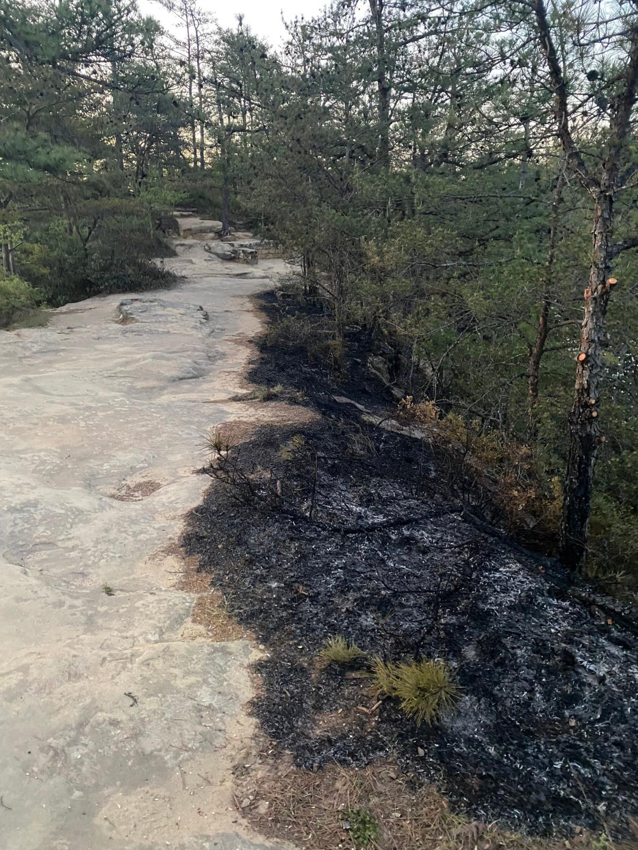 The wildfire at Natural Bridge State Resort Park in Slade, Kentucky, was caused by "probable arson," a state official said.