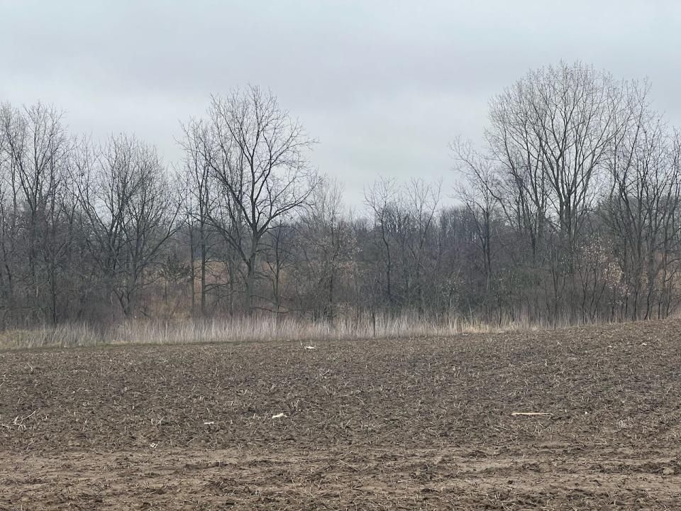 The backyard of John Lamers in Dresden, Ont., overlooks the proposed landfill.