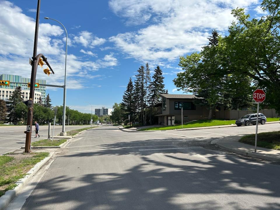 The 1400 block of 29th Street N.W. in Calgary. (Malika Karim/CBC - image credit)