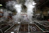 A worker checks glace fruits at the Cruzilles factory in Clermont-Ferrand