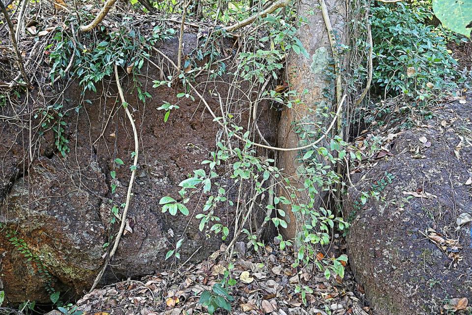 Dried up freshwater spring at Pissurlem.