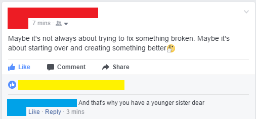 person writing on facebook maybe it's not always about trying to fix something broken maybe it's starting over and creating something better and they respond that's why you have a younger sister