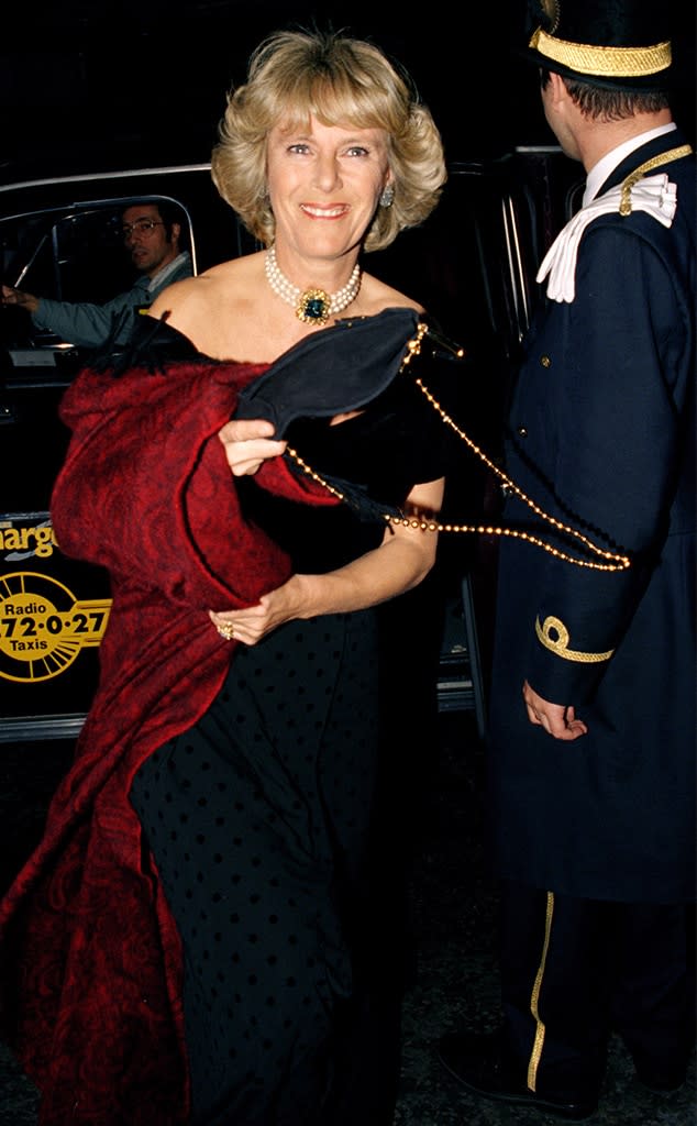 King Charles III, Prince Charles, Camilla Parker Bowles, 1995