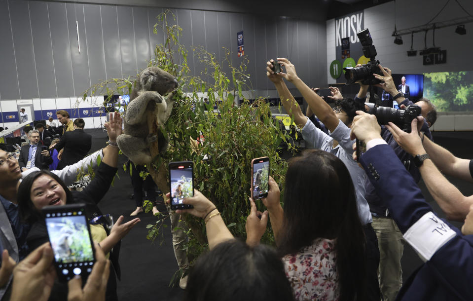 Journalists and photographers surround a koala on a gum branch at the media centre during the ASEAN-Australia Special Summit in Melbourne. Source: AAP