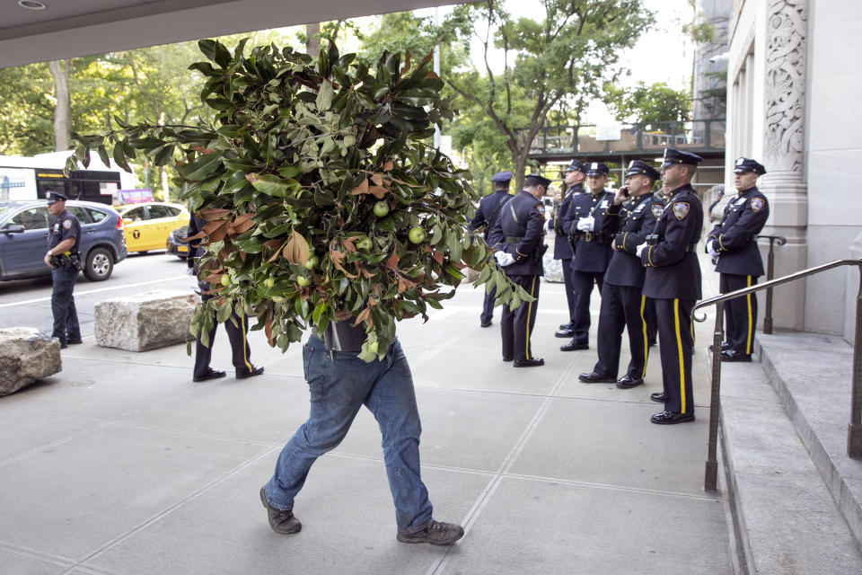 A florist delivers an apple tree to the funeral of Robert Morgenthau, ex-prosecutor and Manhattan's longest-serving DA at Temple Emanu-El, in New York, Thursday, July 25, 2019. (AP Photo/Richard Drew)