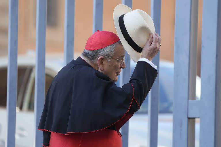 Cardenales; Vaticano; Mundo