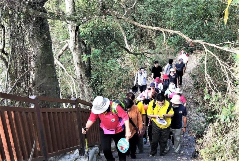 林安森林步道沿途自然景觀優美。（民眾提供）