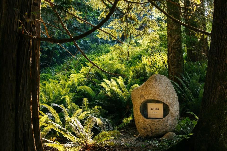 The ferns of the forest surround Kitoki Inn.