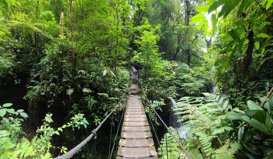 A view from a hanging bridge at El Tigre Waterfalls, a hiking spot near Santa Elena, Costa Rica.