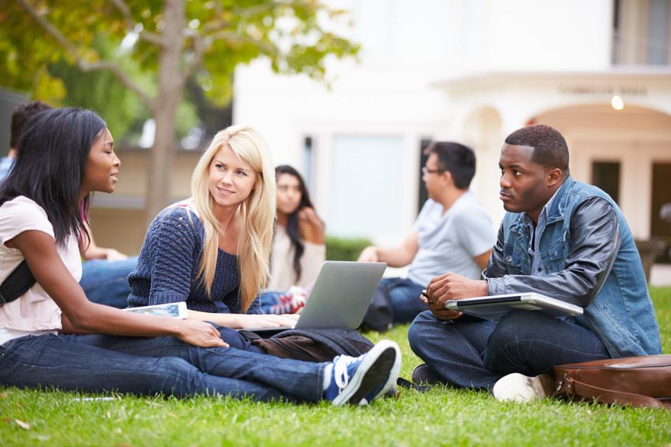 Young adult students on a lawn