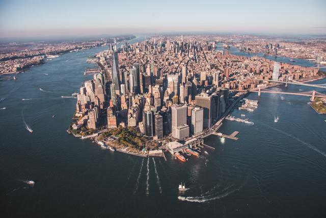 Video: Watch dolphins play with kayakers in the Hudson River