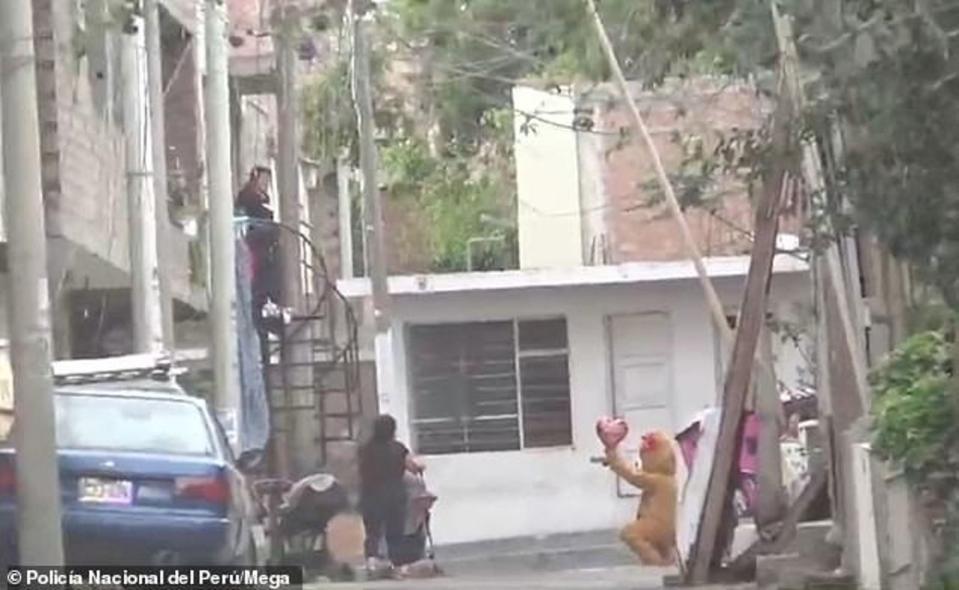 可愛熊埋伏在街頭。（翻自《每日郵報》）