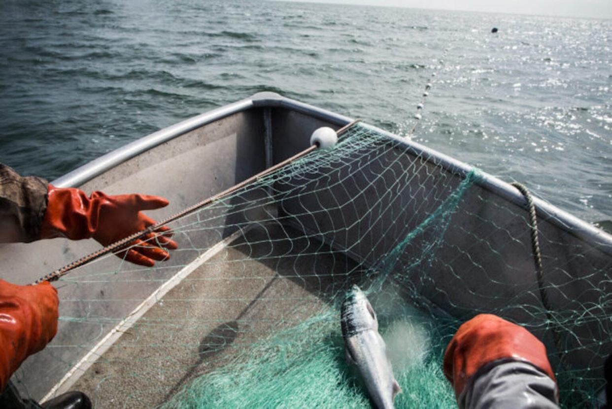 Abandoned or derelict gear can cause harm by not only killing local fish and other wildlife, but also by damaging the underwater plants and structures they call home.