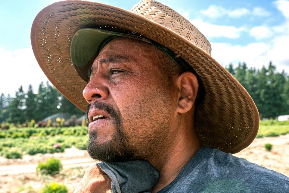 In this file photo, a farmworker wipes sweat from his neck while working in St. Paul, Oregon, as a heatwave baked the Pacific Northwest in record-high temperatures on July 1, 2021.