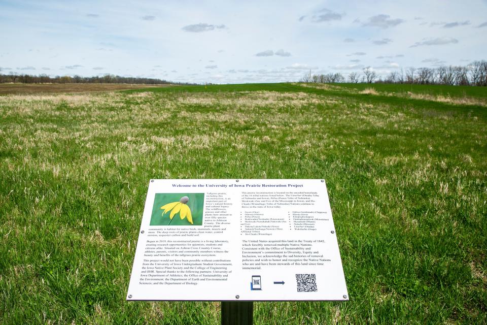 A sign marks where a prairie restoration is in progress Wednesday at the University of Iowa Ashton Cross Country Course in Iowa City. It's part of the university's efforts to attract more pollinator species, which are essential to a healthy habitat.