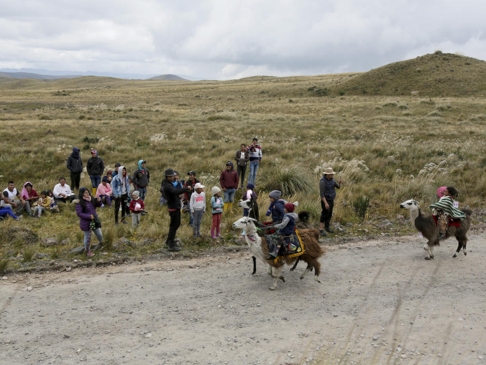 Children ride their llamas at the Llanganates National Park, Ecuador, Saturday, Feb. 8, 2020. Wooly llamas, an animal emblematic of the Andean mountains in South America, become the star for a day each year when Ecuadoreans dress up their prized animals for children to ride them in 500-meter races. (AP Photo/Dolores Ochoa)