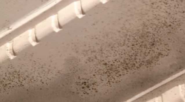 Mould, pollen, radon, dead skin and carbon monoxide all build up indoors and mix with up to 900 other harmful chemicals - on top of millions of dustmites. Photo: 7News