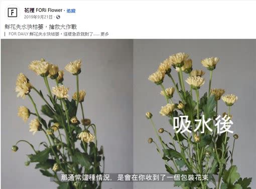 幫花「敷面膜」之後，吸飽水份的花莖及花瓣都恢復精神，變得神采奕奕了。（圖／翻攝自臉書粉絲專業「花裡 FORi Flower」）