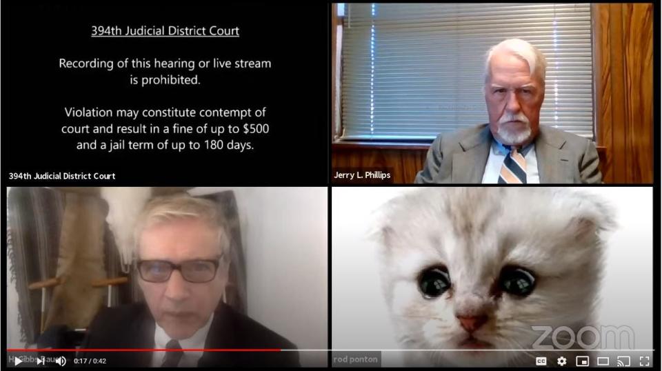 A Texas attorney showed up to a virtual hearing on Zoom with a cat filter on.