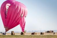 A pink elephant balloon, one of the entries in the Canadian Hot Air Balloon Championships, lands in a field in High River September 27, 2013. The event is a qualifier for the World Hot Air Balloon Championships in Sao Paulo in 2014. REUTERS/Mike Sturk (CANADA - Tags: SPORT SOCIETY TPX IMAGES OF THE DAY)