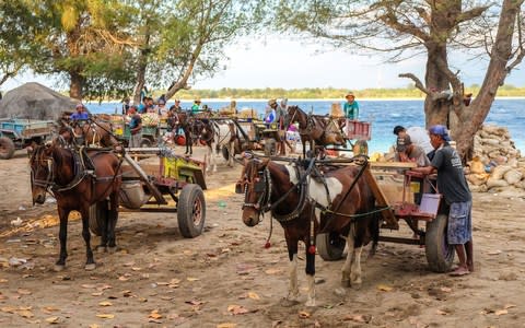 Horse Gili Islands - Credit: istock