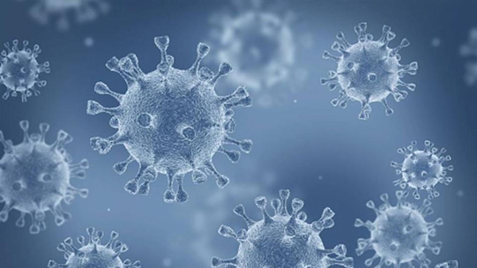 世界衛生組織證實，出現Omicron與Delta重組病毒株。（示意圖／翻攝自Pixabay）
