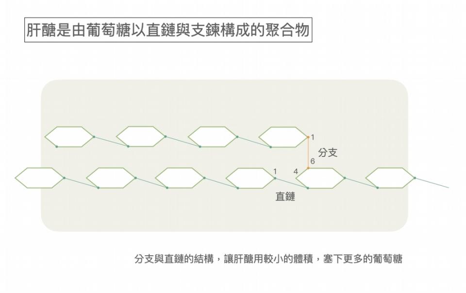 肝醣是什麼？有什麼作用？