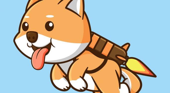 Baby Doge supera el rendimiento de Dogecoin y Shiba Inu