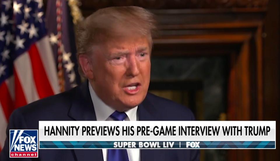 President Trump on Fox News. (Screenshot)