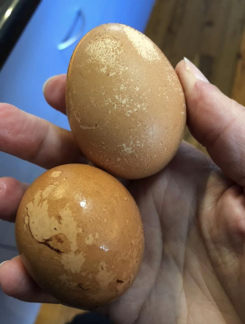 Coles eggs shown with dark discolouration that was later rinsed off with water. 