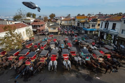 Istanbul authorities have now announced a three-month ban on the carriage rides