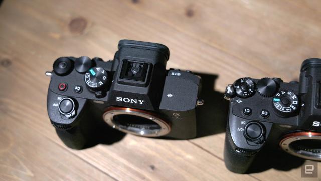 Sony A7 IV Review