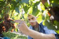 <p>Ces métiers ont besoin de main d’oeuvre : 111 753 postes, selon l’enquête de Pôle emploi. (Getty)</p>