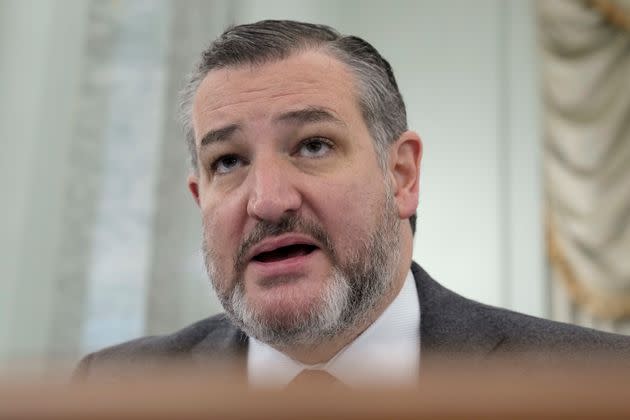 Sen. Ted Cruz (R-Texas) repeatedly pressed Mangi, who is Muslim, to denounce terrorism and prove that he isn't antisemitic.