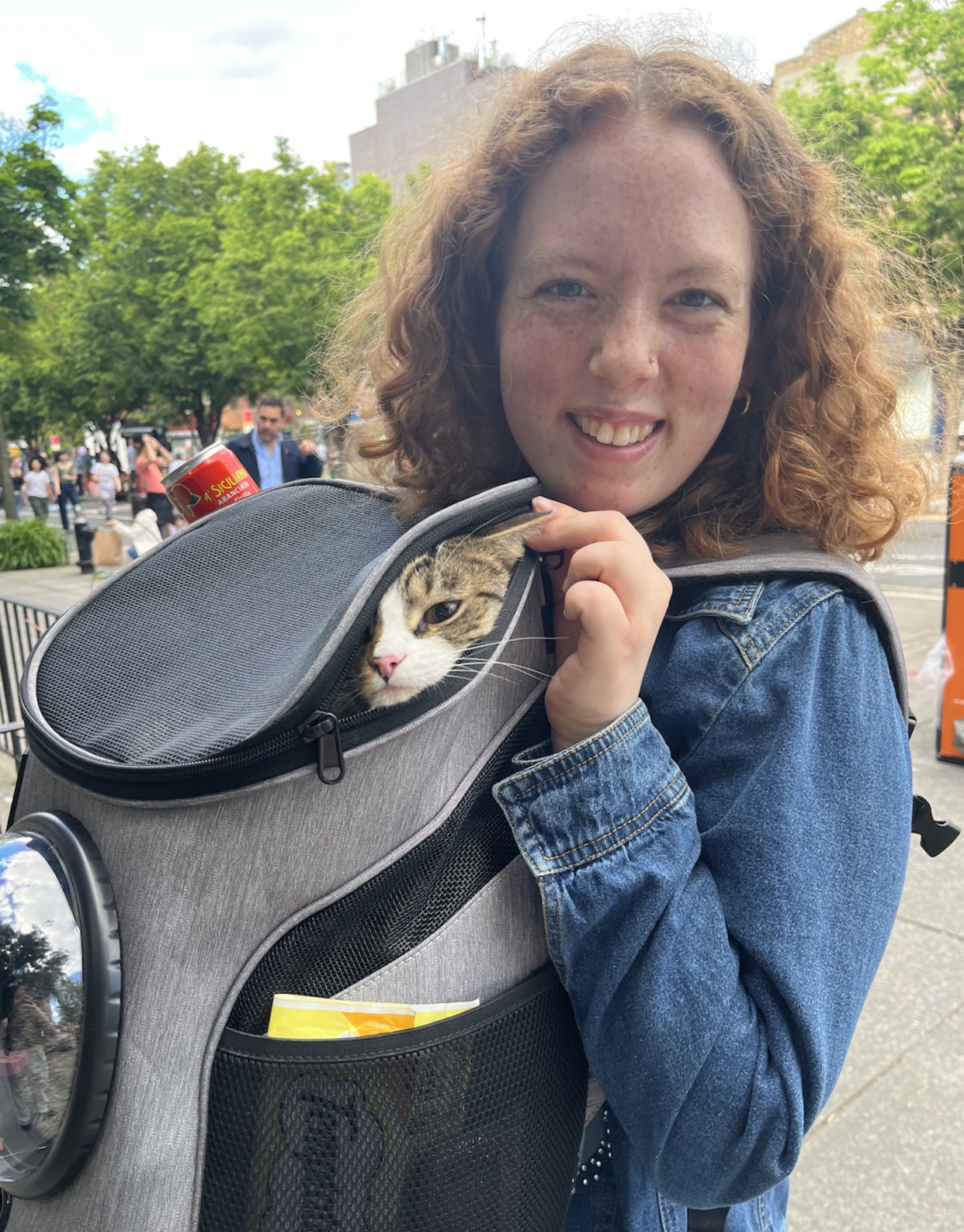 The Fat Cat Mini Backpack lets Kiwi see the world around him while keeping him safe.  (Courtesy Kelsey Fredricks)