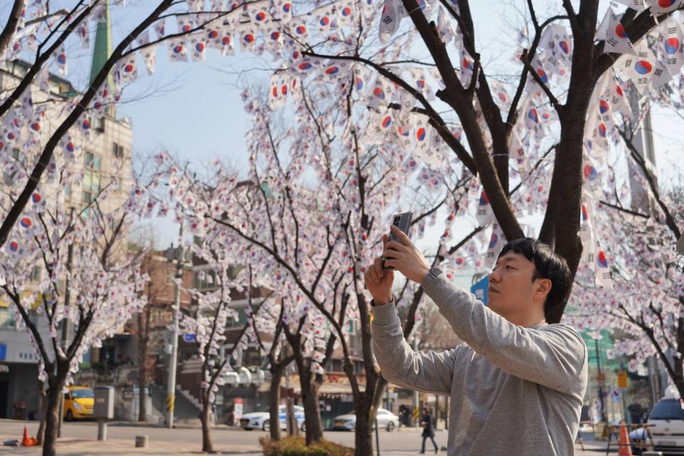 掛滿太極旗的行道樹吸引許多韓國民眾拍照。吳珮如攝