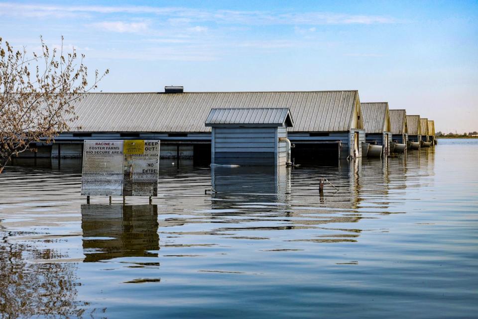 PHOTO: Scenes from the flooded Foster Farms plant on Racine St. in Corcoran, Calif., on July 18, 2023.  (Robert Gauthier/Los Angeles Times via Getty Images)