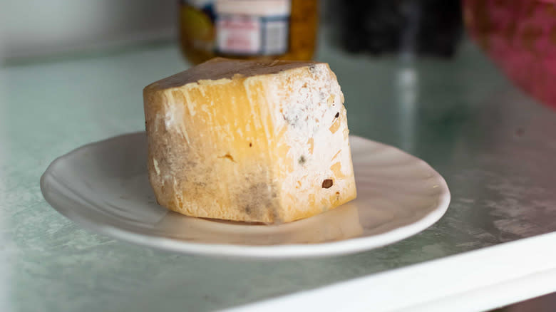 spoiled cheese on fridge shelf