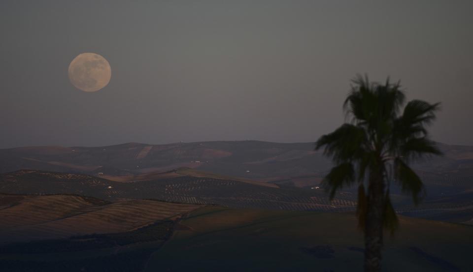 <p>Der erste Supermond des Jahres leuchtet über Montemayor nahe dem spanischen Córdoba. Ein Supermond ist ein Voll- oder Neumond mit besonders erdnaher Position, dadurch wirkt er deutlich größer. (Bild: Manu Fernandez/AP/dpa) </p>