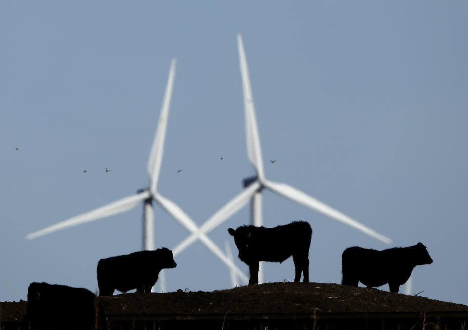 FILE - In this Dec. 9, 2015 file photo, cattle graze in a pasture against a backdrop of wind turbines near Vesper, Kan. A study published on Thursday, Nov. 5, 2020 in the journal Science, says how we grow, eat and waste food is a big climate change problem that may keep the world from reaching its temperature-limiting goals. (AP Photo/Charlie Riedel, File)