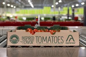 AppHarvest Morehead and AppHarvest Richmond farms are shipping sustainably grown tomatoes sold under the Sunset brand to top national grocery store chains, restaurants and food service outlets. AppHarvest sold almost $11 million in tomatoes in Q1 2023.