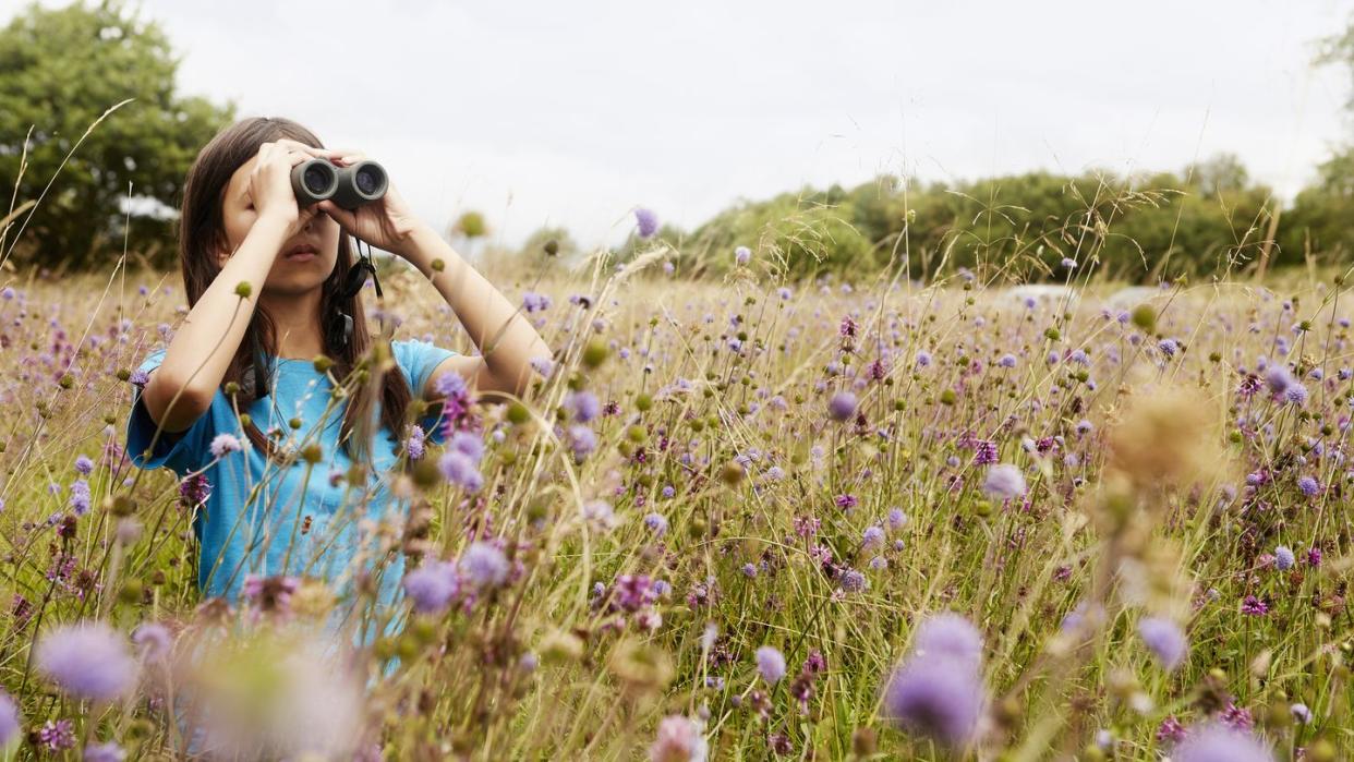 a girl looking through binoculars in a meadow of tall grass and purple wild flowers