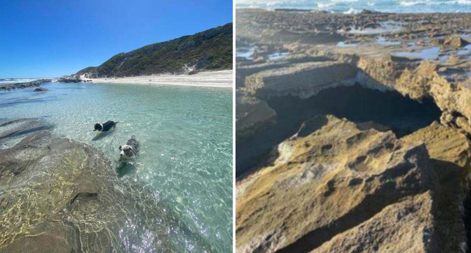 Dog died at 11 Mile Beach in Esperance, WA. 