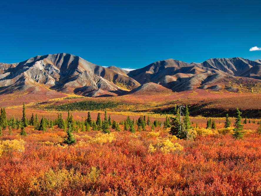 Denali National Park, Alaska